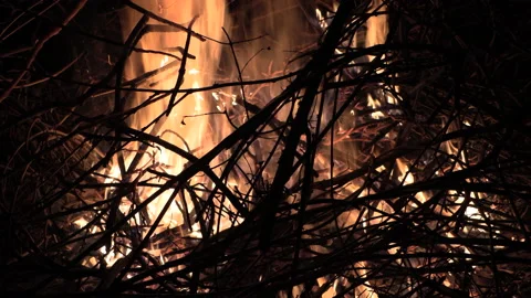 A night fire outside outside with burning branches and smoke Stock Footage 157836124
