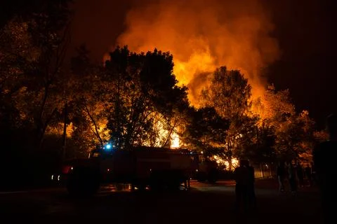 Night fire Stock Photos