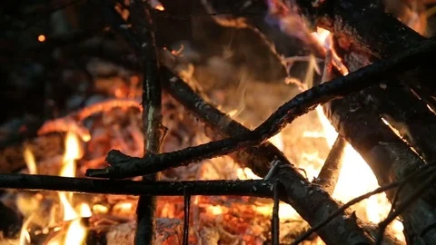 Night fire of their branches close-up Stock Footage 82912578