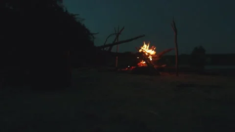 At night by the fire in the wild, river 스톡 동영상 93628955
