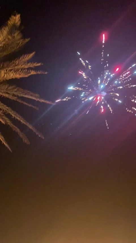 Night fireworks display palm tree resort celebration Djerba Tunisia HD vertical Stock-Footage 342078491