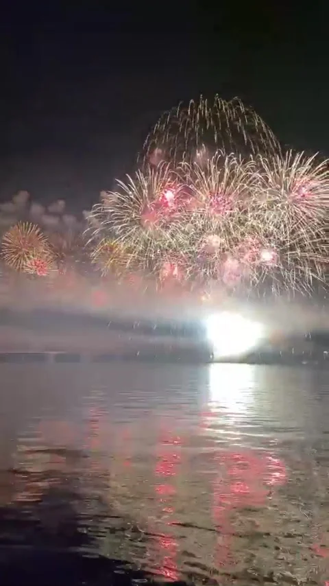 Night fireworks Stock Footage 171684119