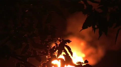 Night flames pull focus smoke leaves Stock Footage 11760040