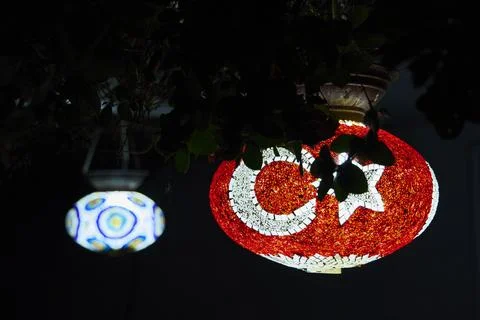 Night flashlight on a tree with the image of the Turkish flag Stock Photos