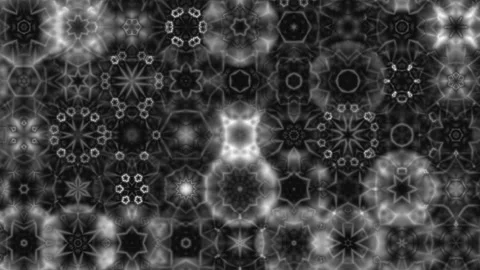 Night Flowers Stock Footage 151380327