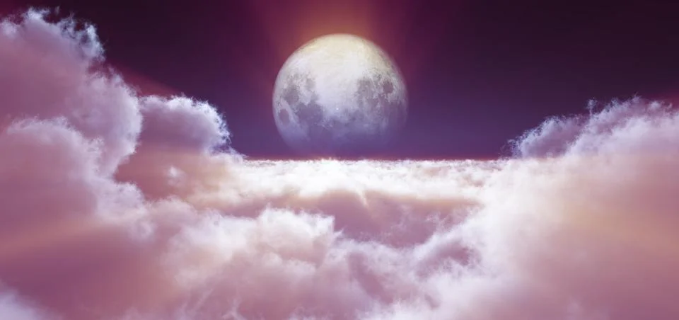 Night fly full moon Illustrazione stock