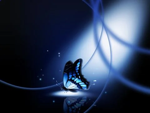 Night-fly Stock Illustration