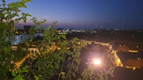 Night Flying Insect Footage Video stock 247973545