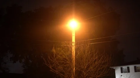 Night Fog Stock Footage 103608052