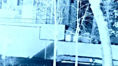 Night Stock Footage 83735224