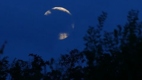 Night Stock Footage 91513037