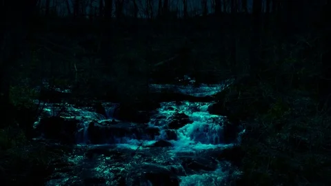 Night Forest Cascading Waterfall Stream Mill Springs Kentucky Stock Footage 74509406
