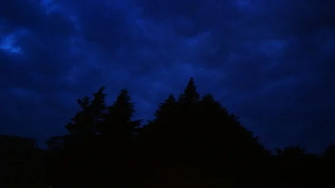 Night Forest Clouds. Tree Silhouette At Night Stock Footage 99566936