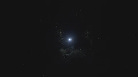 Night at the forest Video stock 127487722