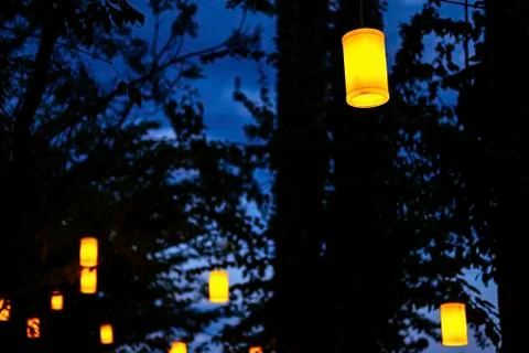 Night forest illumination Stock Photos