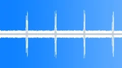 Night Forest Insect Ambiance loop - in stereo Sound Effect