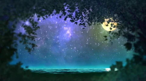 Night forest loop Stock Footage 618977