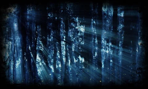 Night forest in the moonlight Stock Footage 196480395