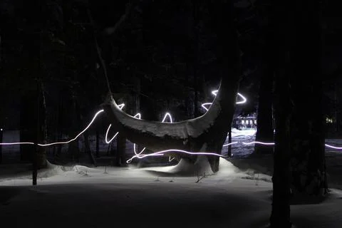 Night forest 写真素材