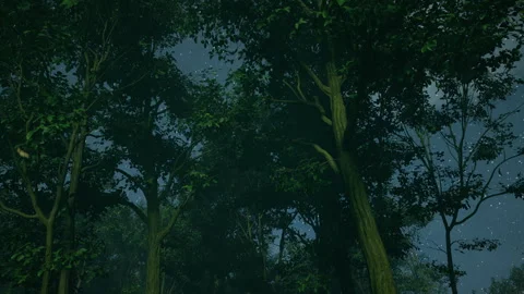 A night forest scene with a canopy of green leaves filtering the starlight Stock Footage 309072277