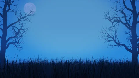 Night Frame Background Stock Footage 250300239