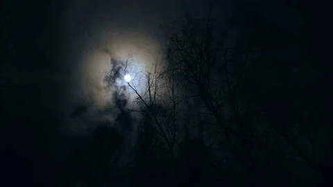Night full moon and fast-moving clouds on a dark background of trees. Stock Footage 128510547