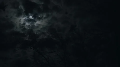 Night with full moon behind the clouds Stock Footage 168769568