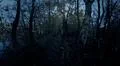 Night FX hiking in spooky narrow dense forest pathway between lakes Photo