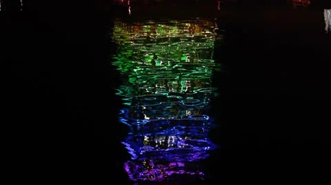 Night garden 2 Stock-Footage 8848586