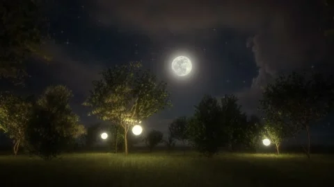 Night garden with lanterns Stock Footage 201529460