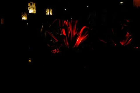 Night garden Stock Photos