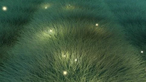 Night grass field Ilustração Stock