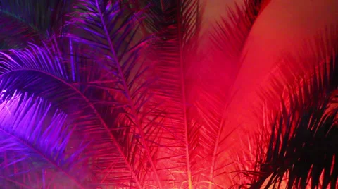 Night illumination HD Stock Footage 32282263