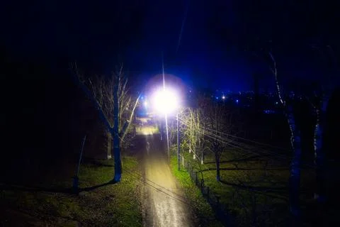 Night illumination in the rustic park Stock Photos