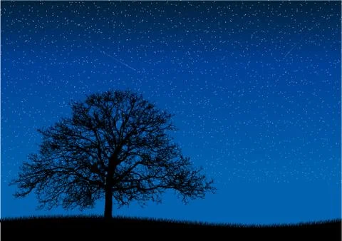 Night Stock Illustration