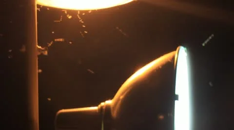 Night insects flight under light Stock-Footage 11242337
