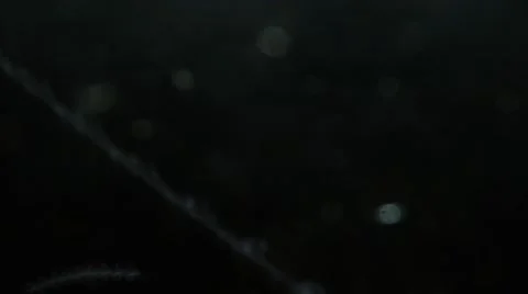 Night Insects Quickly Fly in Front of Camera Stock Footage 66550878