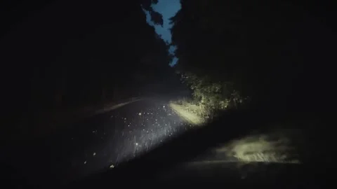 Night journey Stock Footage 311674562