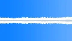 Night jungle sounds with Osteocephalus frogs and nightjars Sound Effect