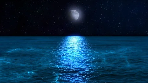 Night lake Vídeos de archivo 118086396