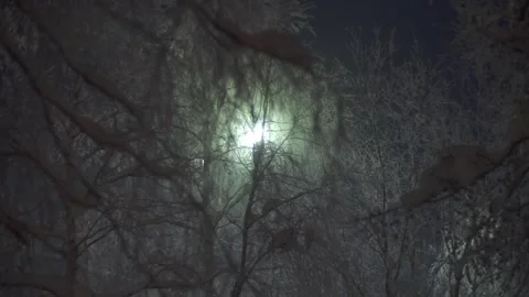 Night lamp in the cold Stock Footage 170056467