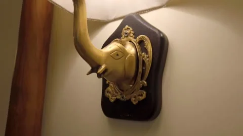 Night Lamp Stock Footage 211667086