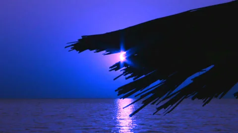 Night landscape coast Stock Footage 30414485
