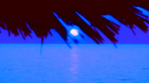 Night landscape coast Stock Footage 30426536