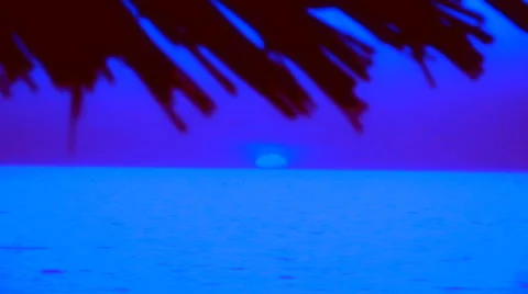Night landscape coast Stock Footage 30426880