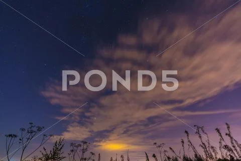 Night landscape with herbs, stars and clouds Stock Photos