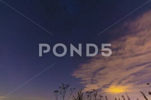 Night landscape with herbs, stars and clouds Stock Photos