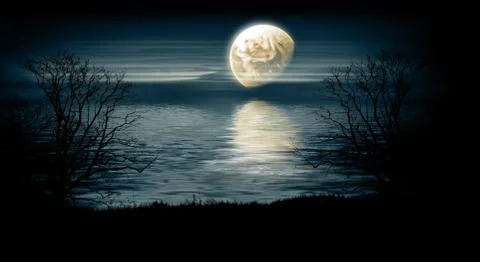Night landscape Stock Illustration