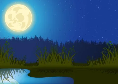 Night Landscape Stock Illustration