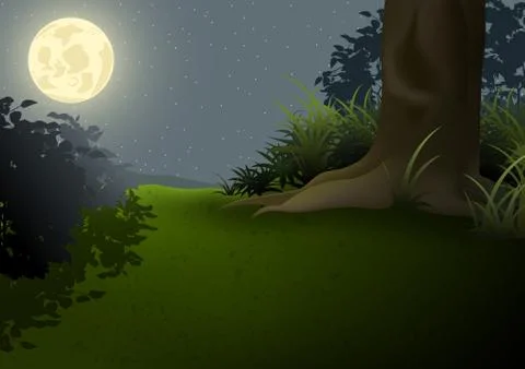 Night Landscape Stock Illustration